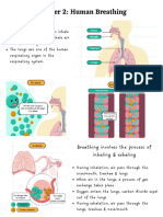 Chapter 2 Human Breathing-P4