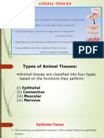 CH-6 TISSUES - Aug 4,2021