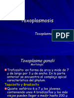 Toxoplasmosis