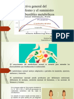 Metabolismo de Principales Alimentos 2023