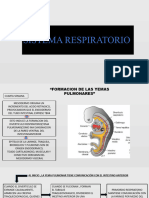 Sistema Respiratorio