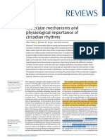 Molecular Mechanisms and Physiological Importance of Circadian Rhythms