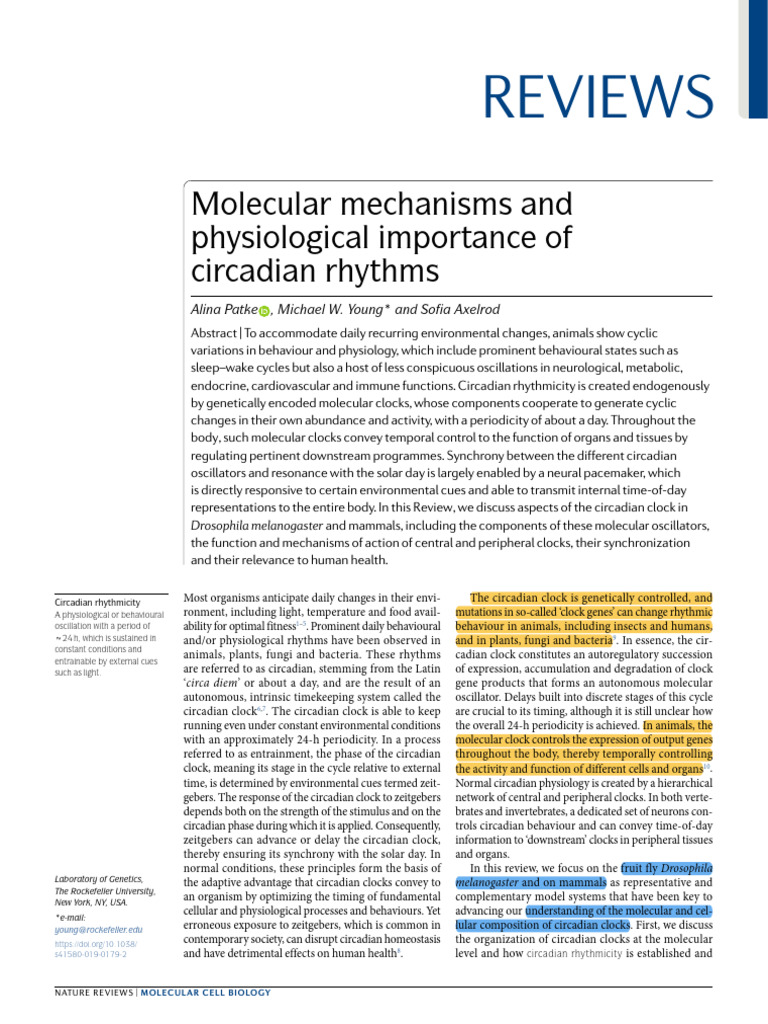 Molecular Mechanisms and Physiological Importance of Circadian Rhythms PDF Clock Circadian
