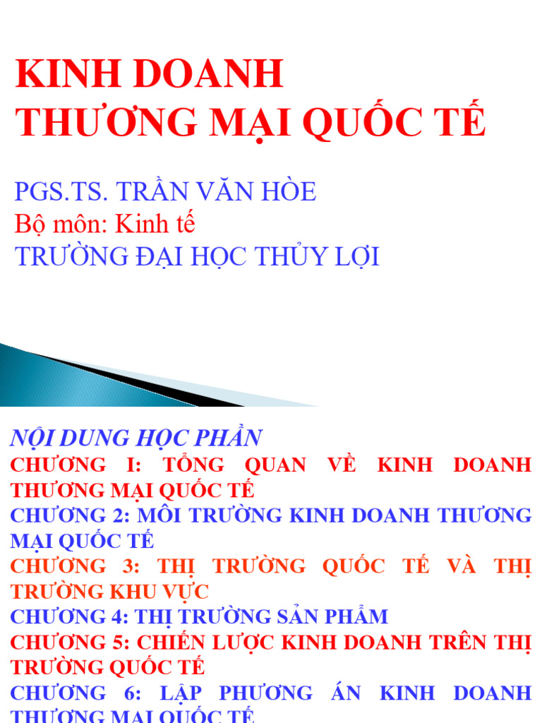 Slide Bai Ging Kinh Doanh TMQT | PDF