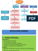 Histología Animal - Resumen