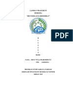 Laporan Praktikum 2 Desy Wulandari Berutu