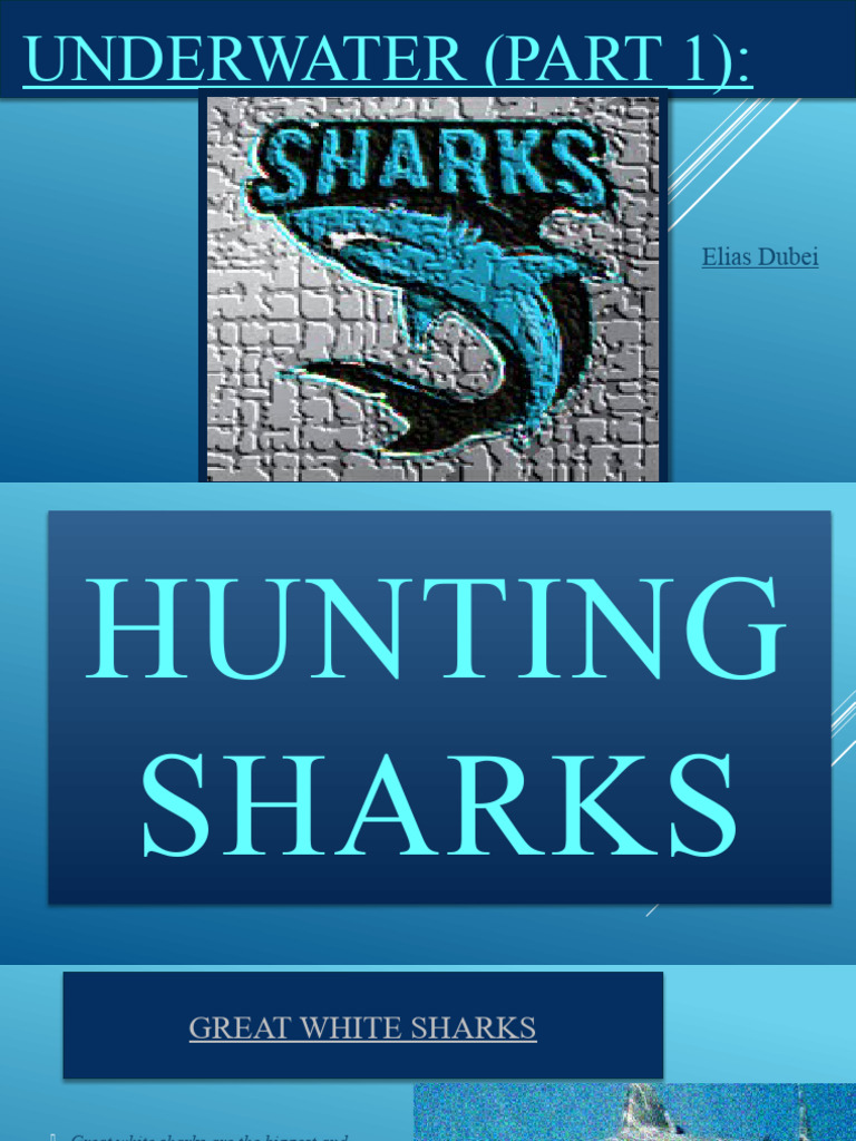 About Sharks | PDF | Sharks | Great White Shark