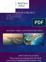 Project 02 Red Sea Global