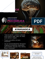 Curso Medicina Psicodélica - Ayahuasca - Fernandapalhano