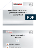 Guía Pruebas Tareas y Examen