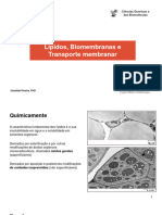 Lipidos Biomembranas Transporte Membranar