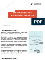 Metabolismo - Azoto