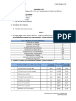 Formato Informe #08