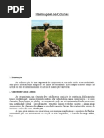 Resistência Dos Materiais - Flambagem