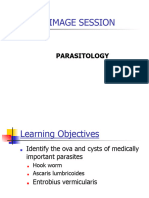 Image Session Parasitology