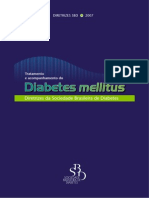 Diretrizes Diabetes 2007