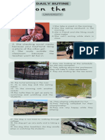Infografía Rutina Deportiva en Casa Facil Minimalista Verde