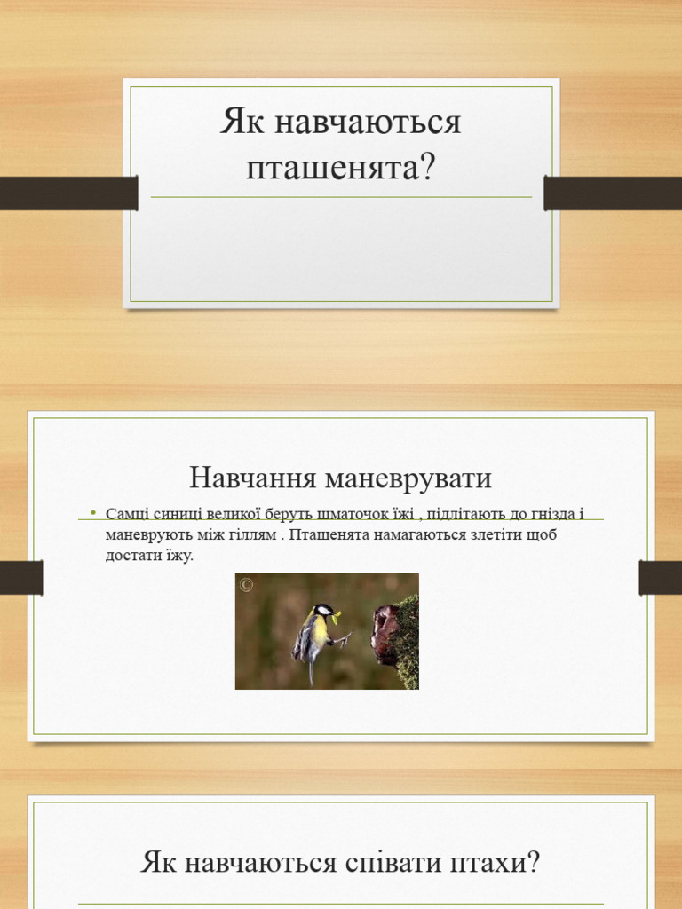 Як вчаться пташенята | PDF