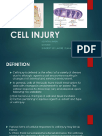 Cell Injury