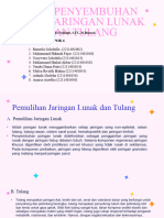 Fase Penyembuhan Pada Jaringan Lunak Dan Tulang