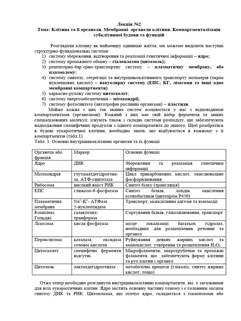 Лекція 2 цитологія | PDF