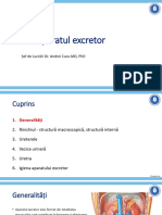 13 - Aparatul Excretor