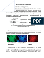 лабораторная работа 4