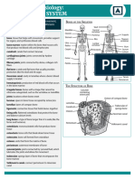 Accepted ANATOMY Skeletal