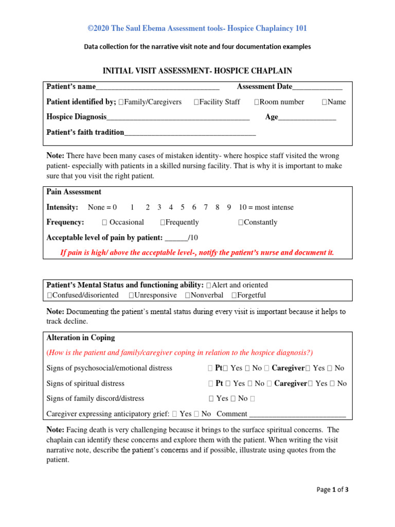 Initial Assessment Template 3 PDF Chaplain Terminal Illness