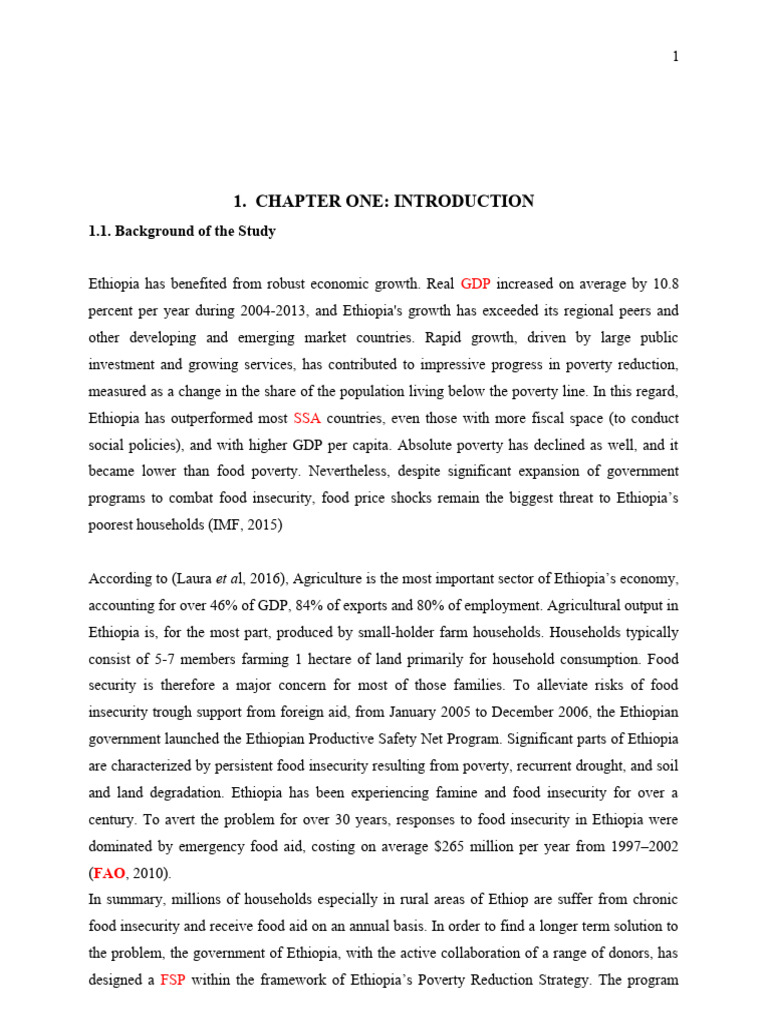What Is Safety Net Program Pdf