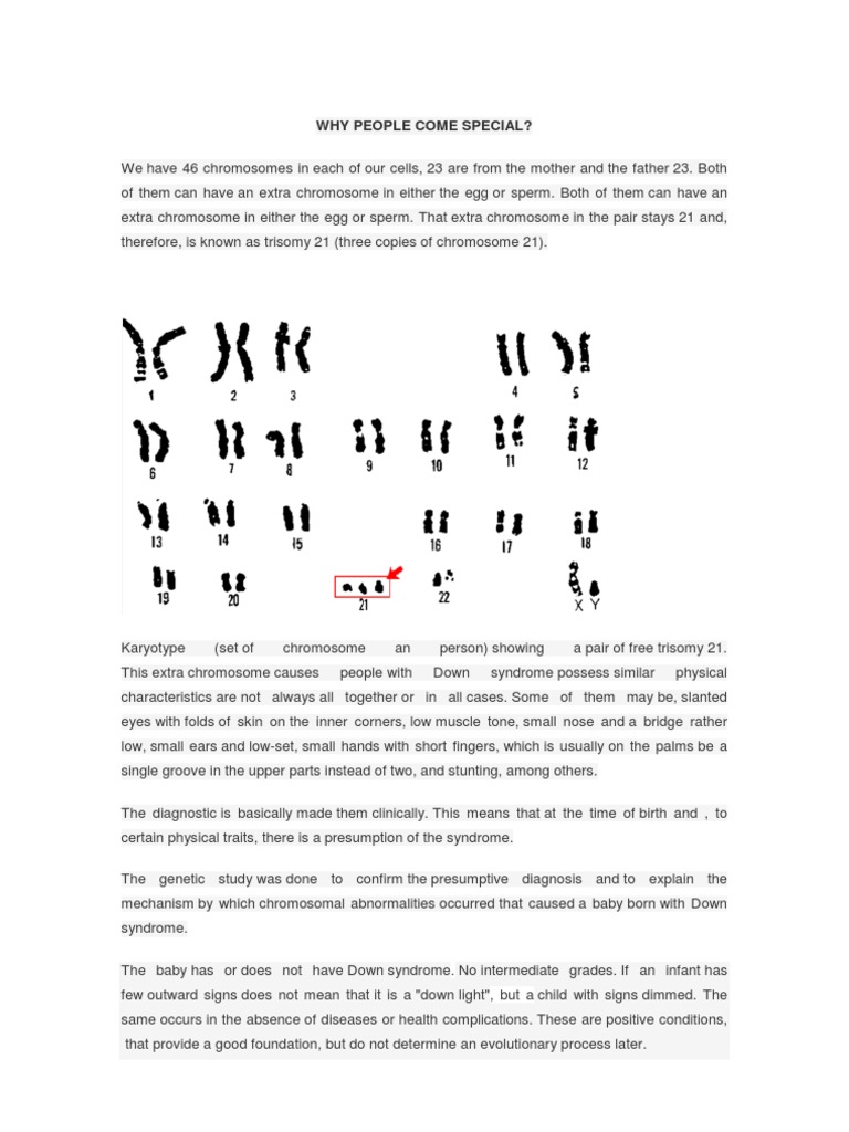 Understanding Down Syndrome and Support | PDF | Down Syndrome | Chromosome