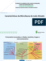 Características da Microfauna de Lodo Ativado