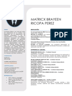 Matricx Brayeen Ricopa Perez: Perfil