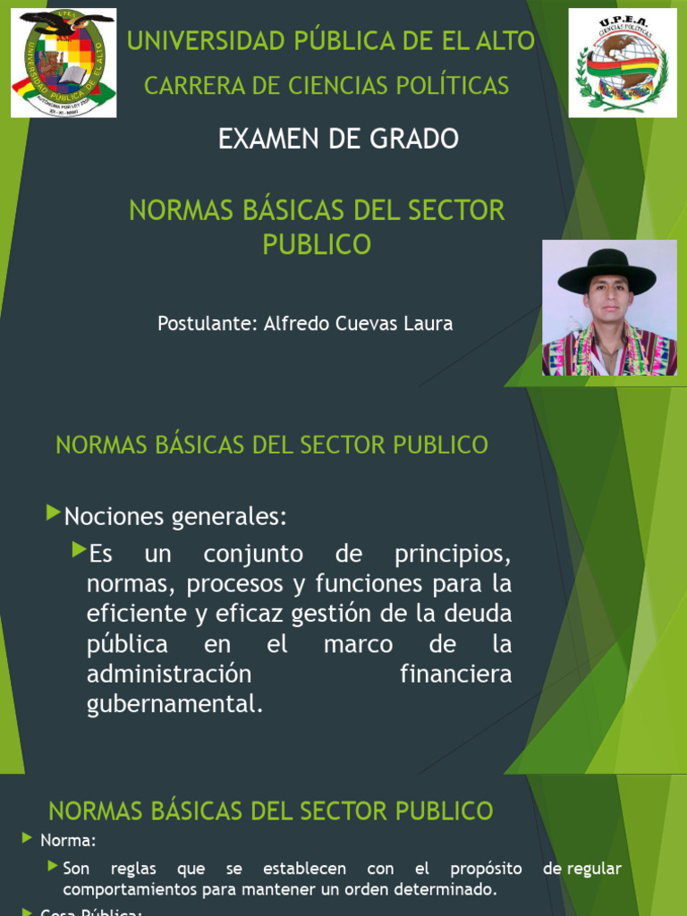 Normas Basicas Del Sector Publico Pdf Administración Pública Bolivia