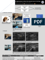 Accuracy of Two Ventral Approaches To Block The Femoral Nerve in The Dog