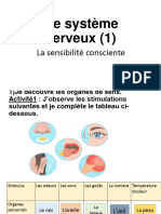 Le Système Nerveux (1) 6AEP