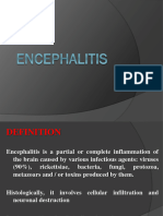 Encephalitis - Internship