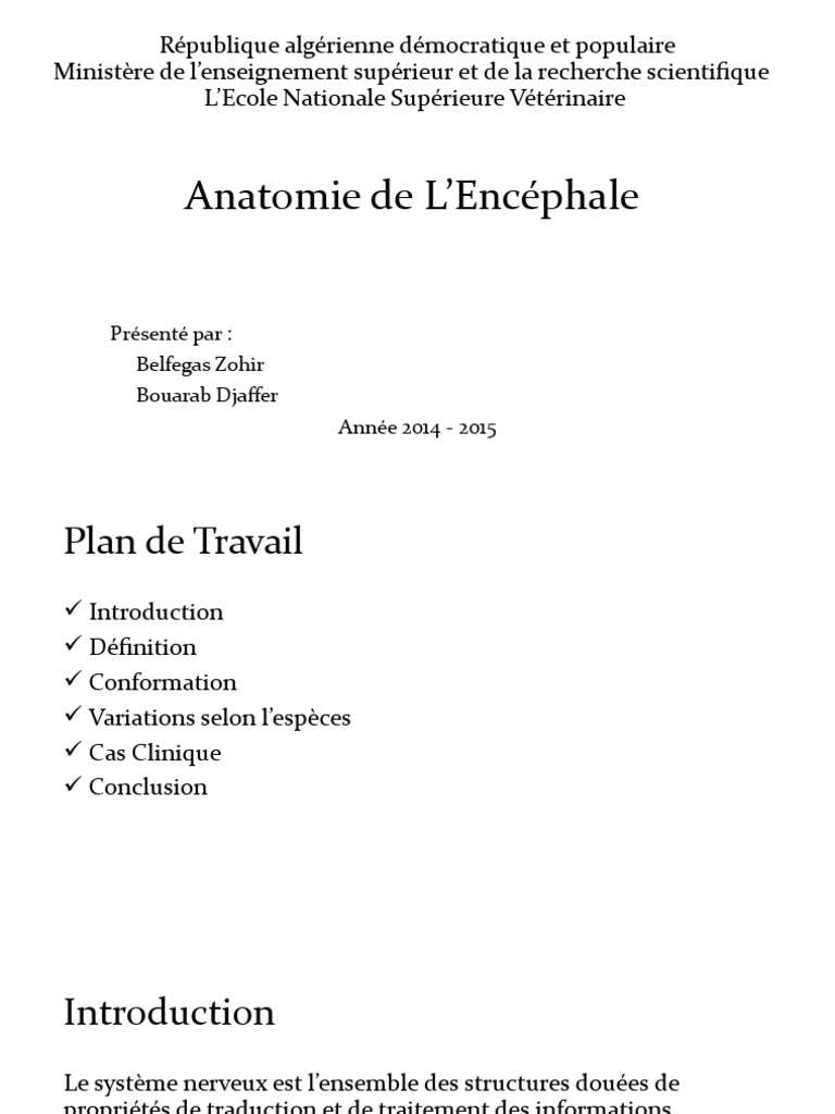 Anatomie de l'Encéphale | PDF | Système nerveux central | Hypothalamus