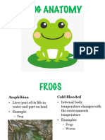 Frog Anatomy - PDF