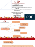 Ponencia Iv