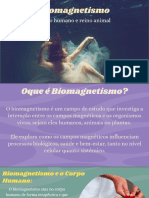 Biomagnetismo em Organismos Vivos Concept Check