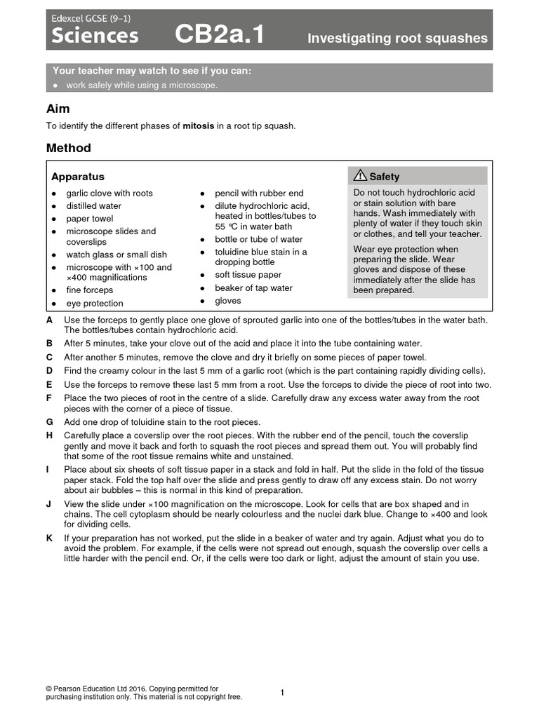 CB2 All Sheets GCSE Biology | PDF | Mitosis | Bone