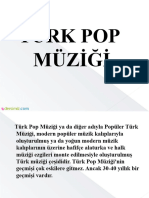 Turk Pop Muzigi
