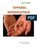 Appareil Reproducteur Cours Epsis (2)