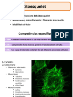 Tema5 Citoesquelet