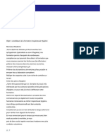 Lettre de Motif PDF