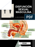 DISFUNCION SEXUAL MASCULINA ZKAG - PPTX 02