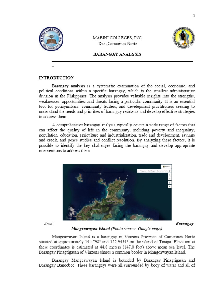 Barangay Analysis | PDF | Maternal Health | Infant Mortality