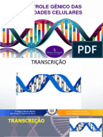 Transcrição e Tradução