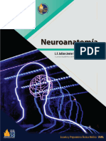 71 Manual de Neuroanatomia